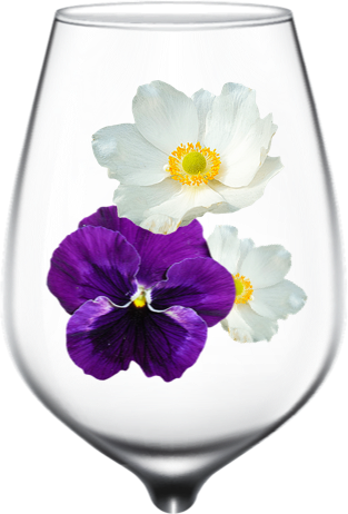 aroma-image