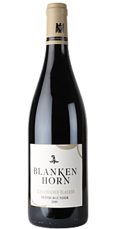 Blankenhorn, Schliengener Ölacker Pinot Noir Erste Lage 2019