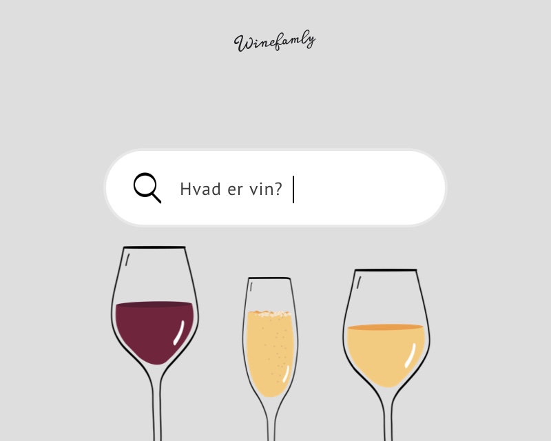 ALT du skal vide om vin 