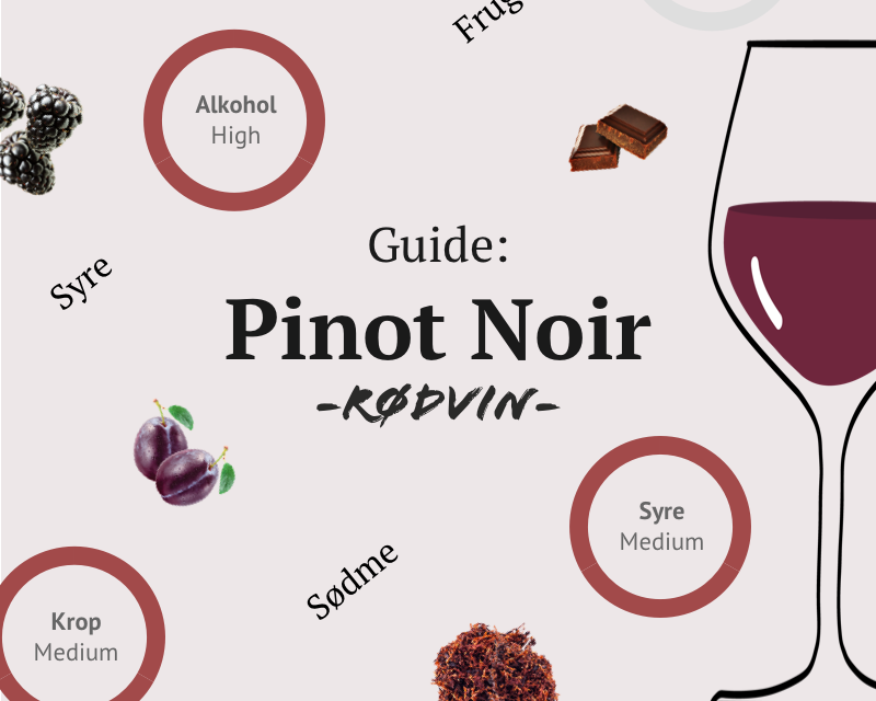 Pinot Noir - En ægte favorit