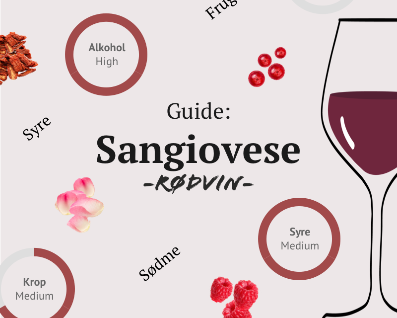 Guide: Sangiovese, marmelade-vinens modsætning
